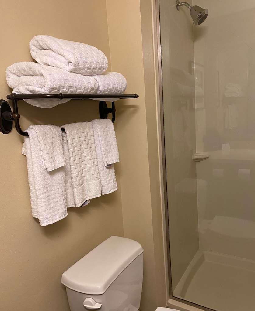 Best Western Plus Tuscumbia/Muscle Shoals Hotel & Suites Room photo